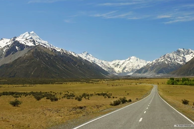 Free Wallpapers   Free Nature Wallpapers   Windows 8 Themes ...