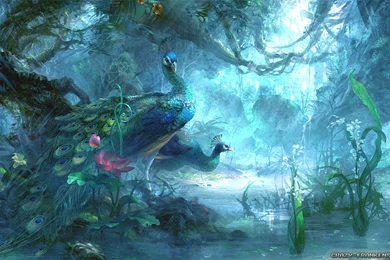 Love Birds Wallpapers   Crazy Frankenstein