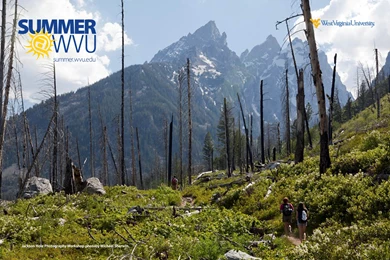 Summer At WVU Wallpapers