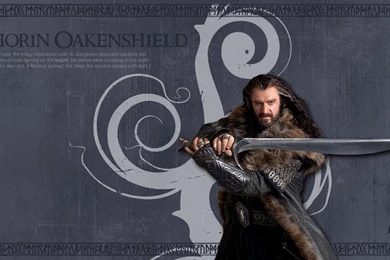 Thorin Oakenshield The Hobbit Wallpapers 1024x768 By DarqueJackal ...