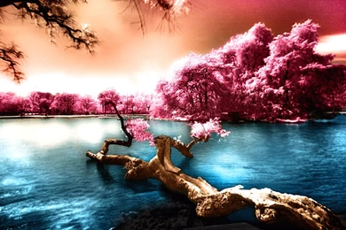 Free Wallpapers For Tablet Android,desktop Wallpapers