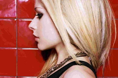 Wallpapers Nicci Pisarri Avril Lavigne Celebrities Girls 1920x1440 ...