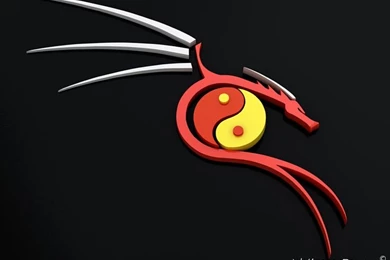 Yin Yang Dragon Wallpapers Silver Red
