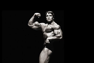 Arnold Schwarzenegger Terminator 2   Wallpaper.