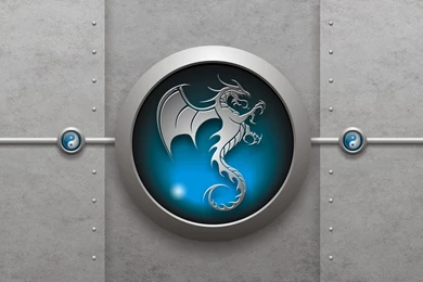 Wallpapers Symbol D A Sign Yin Yang Dragon 1920x1200