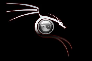 Dragon Ying Yang By Vez76 On DeviantArt