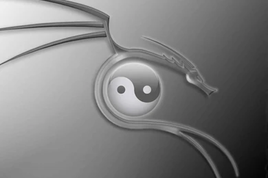 Dragon Glass Yin Yang   Dragons Wallpapers