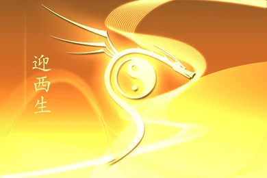 Dragon Ying Yang By ShaheenJ On DeviantArt