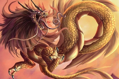 Chinese Dragon Wallpapers HD & Backgrounds ~ Desktop Wallpapers ...