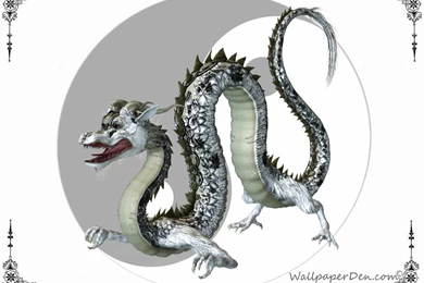 Cartoon Picture: Ying Yang Dragon Wallpapers