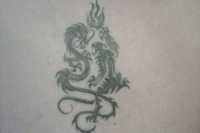 Wallpapers Dragon Age Origins Tigre Yin Yang Tatuaje Tattootattoo ...