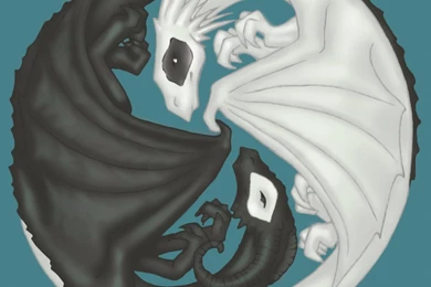 Yin Yang Dragons   For AngelicDemise On DC By Risicat On DeviantArt