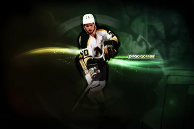 NHL Dallas Stars Wallpapers HD. Free Desktop Backgrounds 2016 In ...