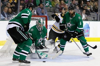DALLAS STARS Nhl Hockey Texas (5)_JPG Wallpapers