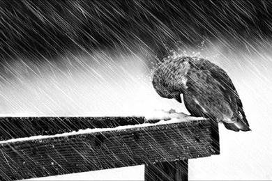 Depression Sad Mood Sorrow Dark People Love Winter Rain Wallpapers ...