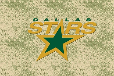 Dallas Stars, 1920x1080 HD Wallpapers And FREE Stock Photo