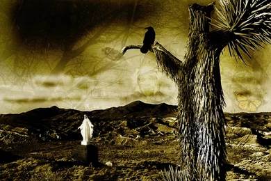 Fun Frustration Depression Wallpapers From Dark Wallpapers