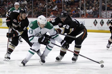 DALLAS STARS Nhl Hockey Texas (36) Wallpapers
