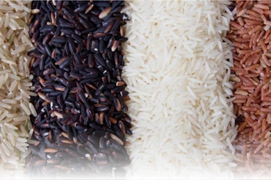 Rice (id: 16304) – BUZZERG