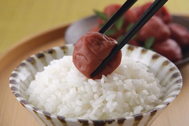 Rice, Close up High definition Wallpapers 9 － Cate Wallpapers ...