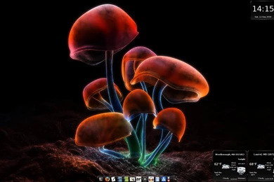 DistroWatch.com: Put The Fun Back Into Computing. Use Linux, BSD.