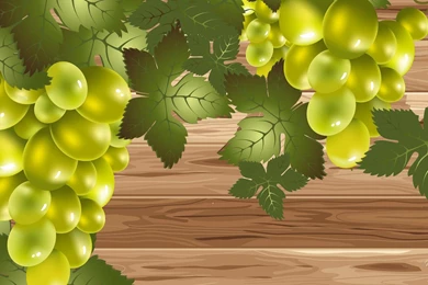 Grape Vine Wallpapers