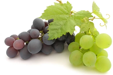180 Grapes HD Wallpapers