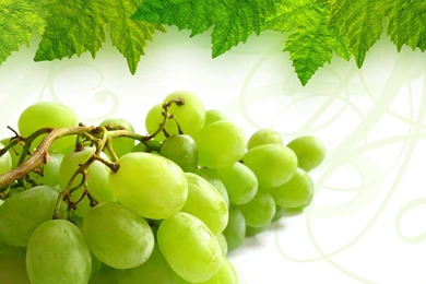Grapes HD >> HD Wallpaper, Get It Now!