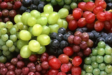 Multi Colors Grapes Wallpapers Free Download