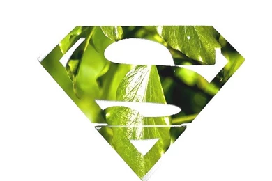 Logo & Logo Wallpapers Collection: SUPERMAN LOGO WALLPAPER COLLECTION