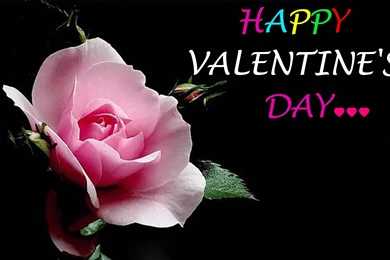 2016 Happy Valentines Day Images Free Downloads