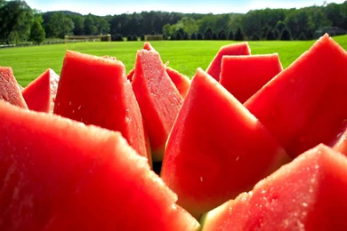 Download Wallpapers 1920x1080 Water melon, Segments, Berry, Red ...