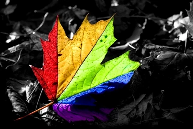 Cool High Definition Wallpapers