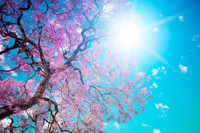 Desktop Images, Widescreen Images, Colors, Lovely Wallpapers, Cool ...