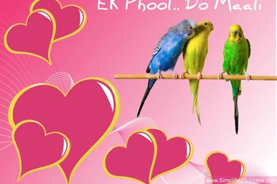 Valentine Wallpapers For Desktop, Download Free Wallpapers For PC