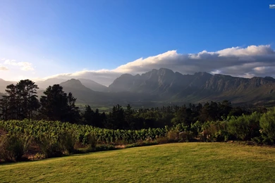 Summer Mountain Scenery : Desktop And Mobile Wallpapers : Wallippo