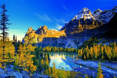 Amazing Scenery Wallpapers