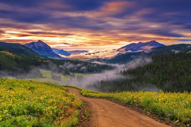 Mountain Flowers Lake Scenery Wallpapers HD Download