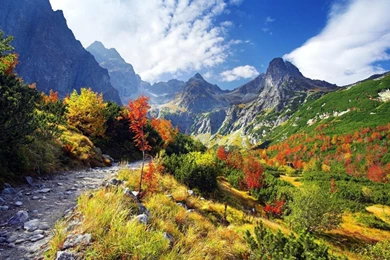 Scenic Mountain Path Windows 8 Wallpapers