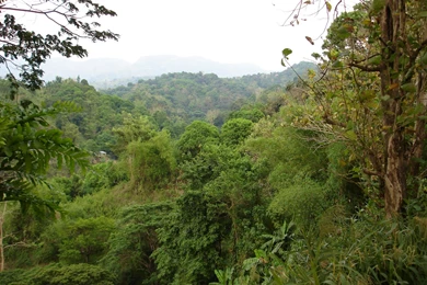 Mountain Scenery Pictures: Wallpapers Tropical Mountains Philippines