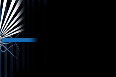 DALLAS MAVERICKS Basketball Nba (4) Wallpapers