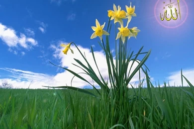 March 2012 ~ Islamicwallpaperquotes