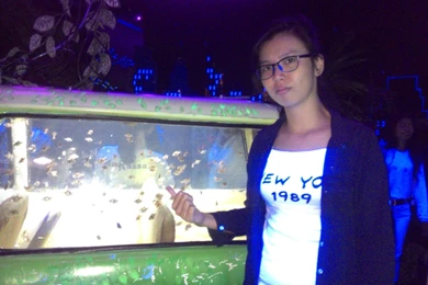 Henti Wallpapers Wallpapers