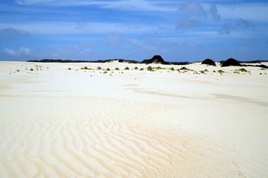 Panoramio   Photo Of Henti Dunes