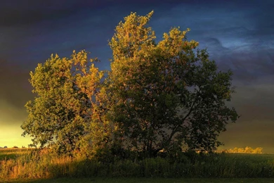 Dual Monitor Wallpapers Free HD Wallpaper Backgrounds Download