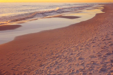 Desktop Pictures: Golden Seascape   1200x1920