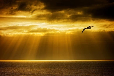 Breathtaking Sky Free Desktop Backgrounds And Wallpapers