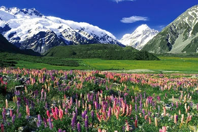 Spring Season Pictures