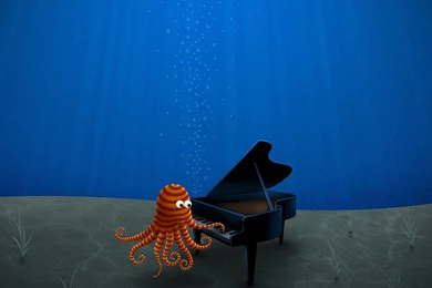 Desktop Wallpapers · Gallery · Humor · Professional Solo Pianist ...