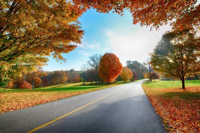 Autumn Road Wallpapers